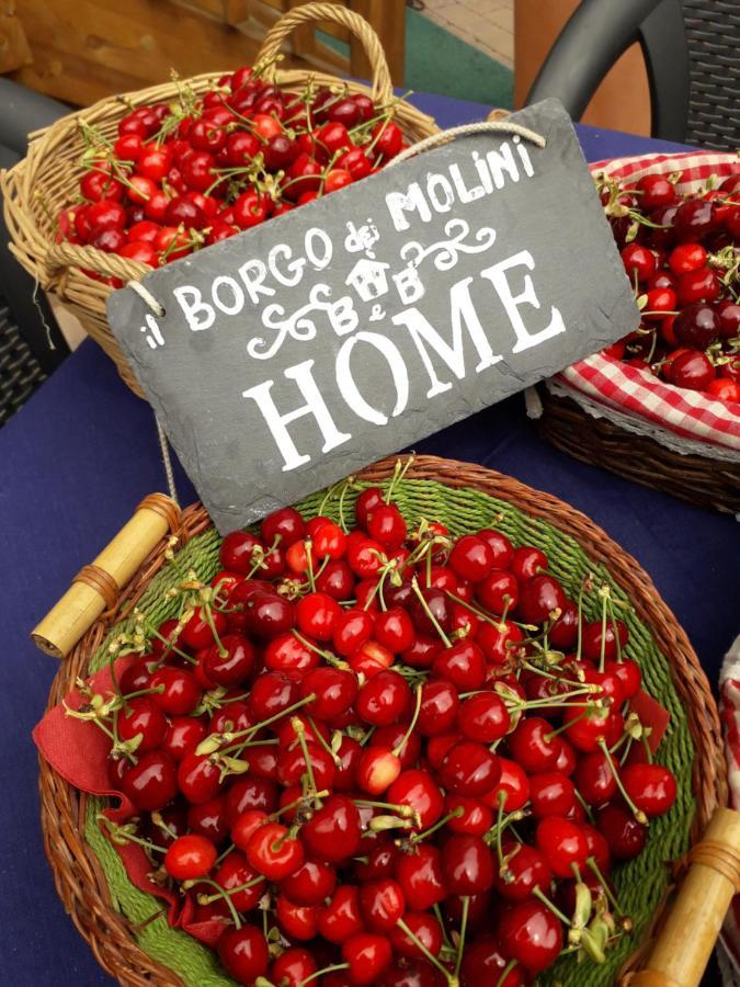 Il Borgo Dei Molini Bed & Breakfast Torreglia Exterior photo