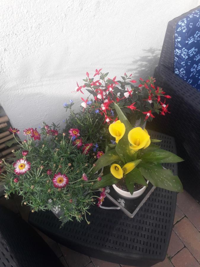 Il Borgo Dei Molini Bed & Breakfast Torreglia Exterior photo